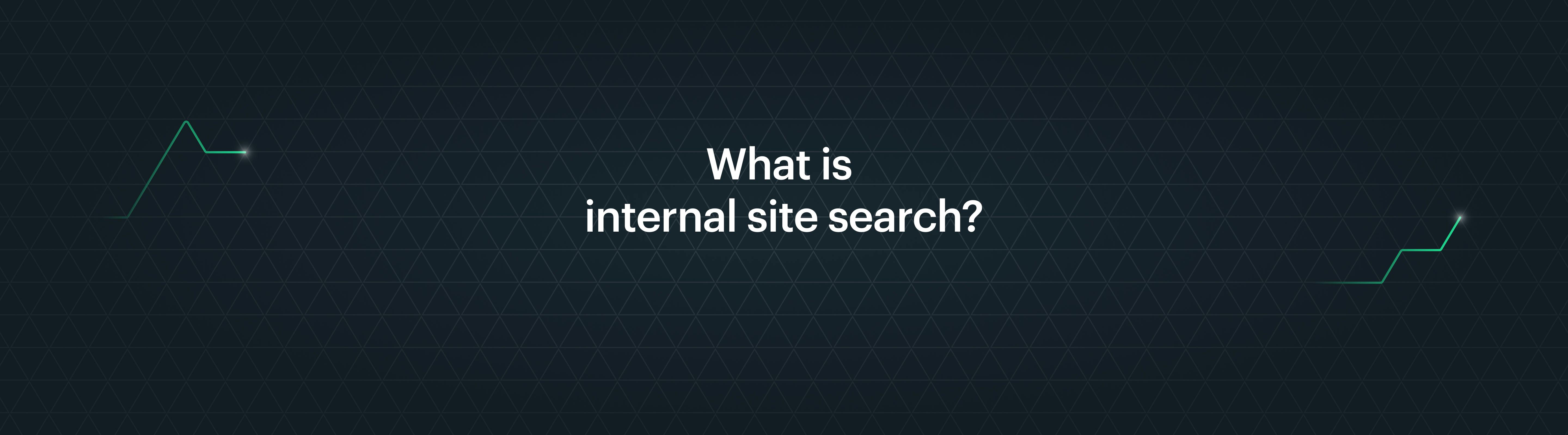 Wat is interne site search?