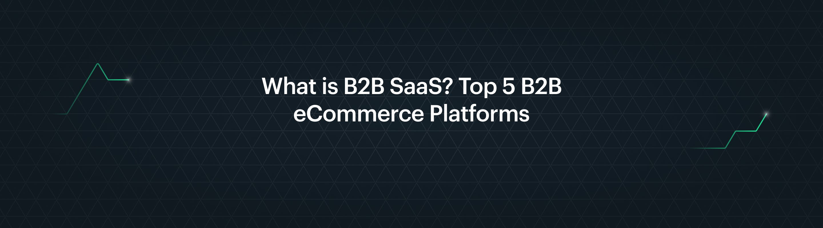 Wat is B2B SaaS? Top 5 B2B e-commerce Platformen