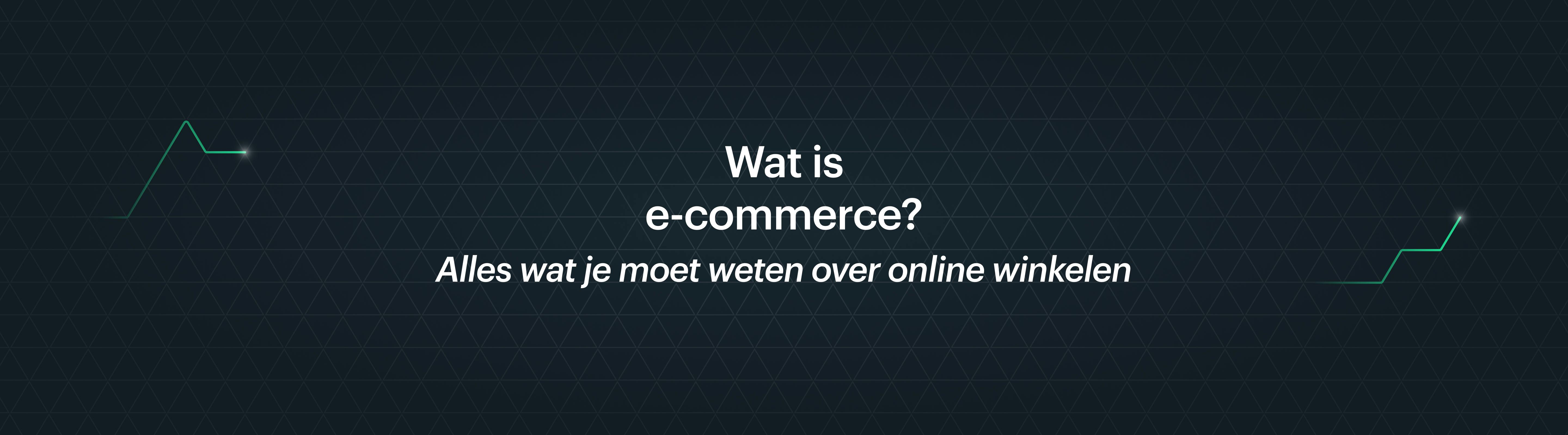 Wat is e-commerce? Alles wat je moet weten over online winkelen